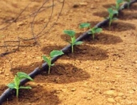 三河市蔬菜水肥项目滴灌设备安装