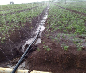 灌溉微喷带