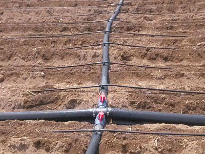 自动化灌溉系统