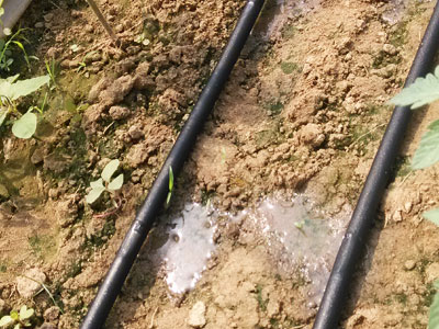 节水灌溉自动化