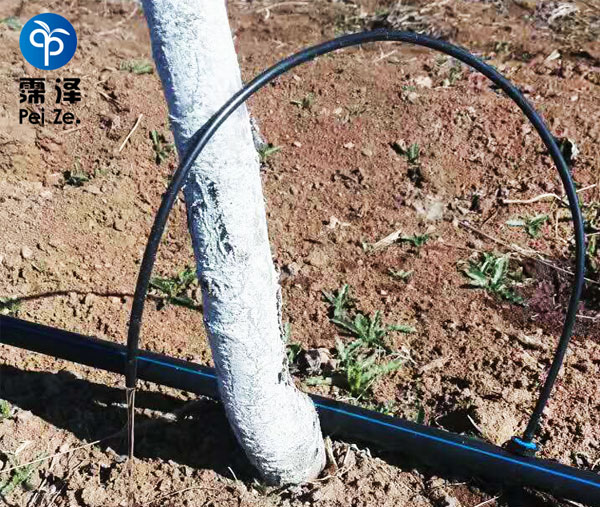 滴灌自动化灌溉系统